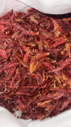 Mirch sabut 1 KG Pack of 5