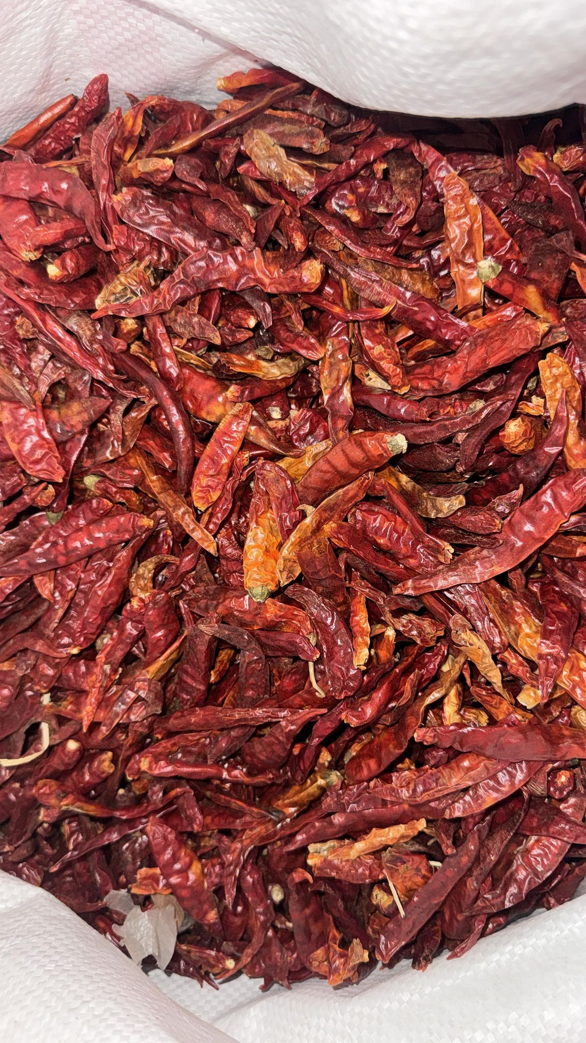 Mirch sabut 1 KG Pack of 2