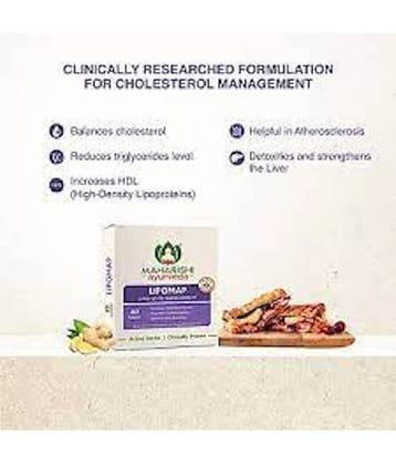 Maharishi Ayurveda MAHARISHI AYURVEDA LIPOMAP (PACK OF 4)