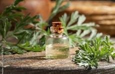 Wormwood Hydrosol Wormwood Hydrosol