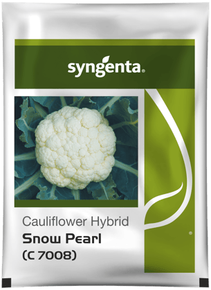 SNOW PEARL