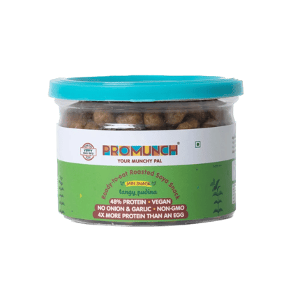 Tangy Pudina Protein Snacks