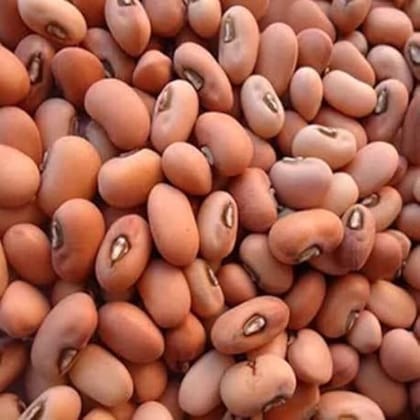 Alasande (cow pea)