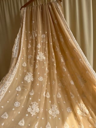 Georgette Chikankari saree in Coffee Brown-Coffee Brown
