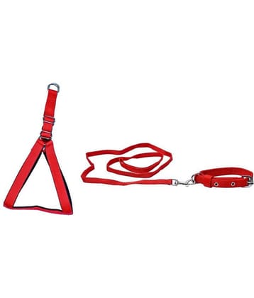 Tame Love Combo Dog Harness Leash Collar for small pet (Blue Color-0.75 Inch)