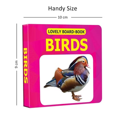 Board Books (lovely) - Birds [Board book] Dreamland Publications
