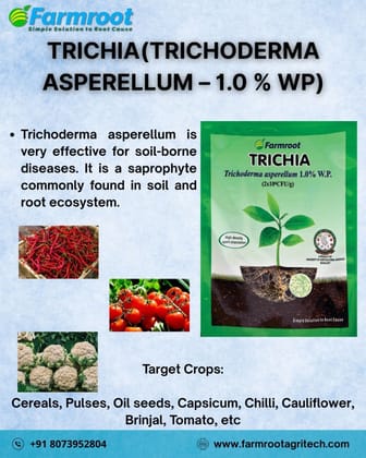 FARM TRICHIA - 10KG