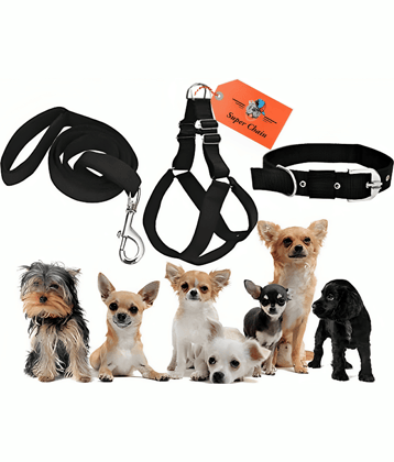 super chain - Blue Combo (Collar Harness and Leash) ( Medium )