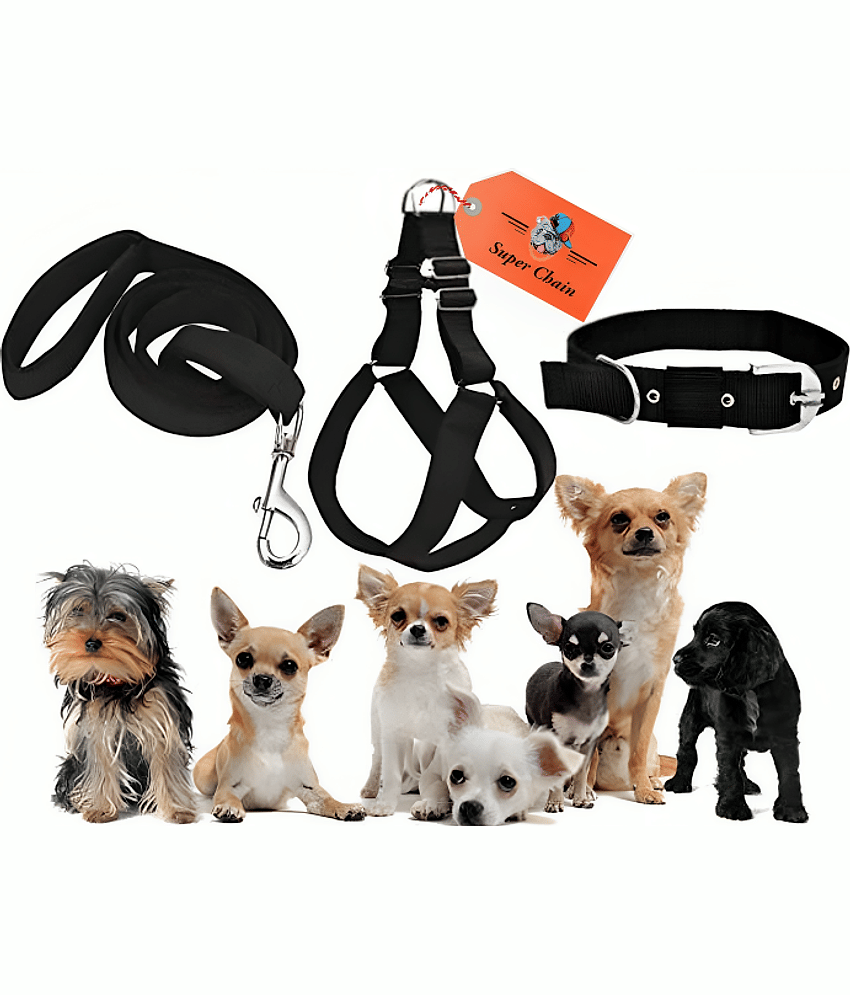 super chain - Blue Combo (Collar Harness and Leash) ( Medium )