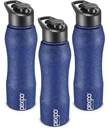 PEXPO 1000 ml Stainless Steel Sports and Fridge Water Bottle (Set of 3, Blue, Bistro)
