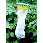 ... ...