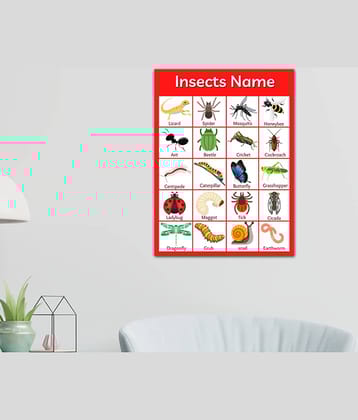 Photojaanic Insects Posters Paper Wall Poster Without Frame