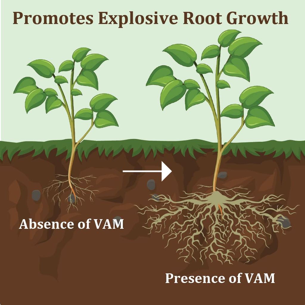 Garden Genie Root Power VAM Mycorrhiza Biofertilizer 380g - Root Stimulant Growth Booster and Development Fertilizer for Plants, Granules