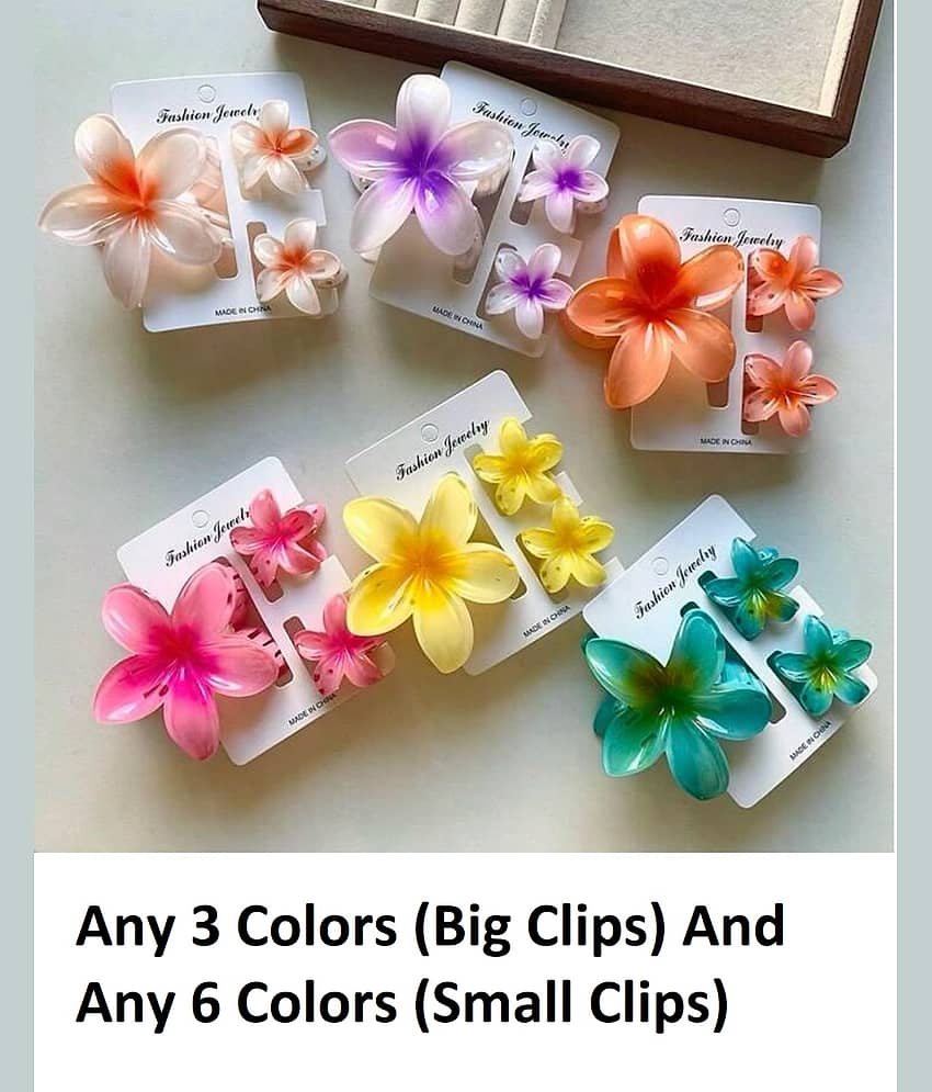 Rhosyn Multi Women's Hair Clip ( Pack of 9 )