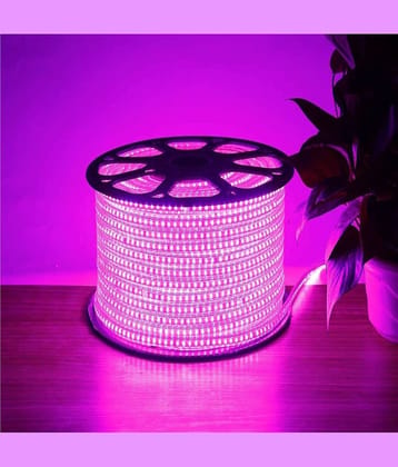 ZESTRUM Pink 10 Mtr LED Strip ( Pack of 1 )