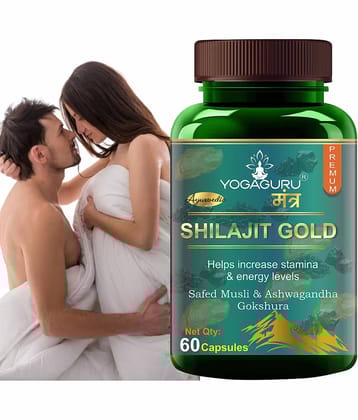 Shilajit Gold | Premium Vitality | Ayurvedic Supplement for Men 60 Capsules