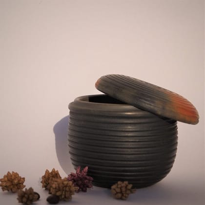 Food, Oven and Microwave Safe Dry Fruit Container with Lid