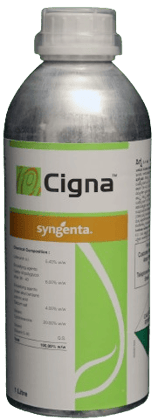 CIGNA