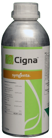 CIGNA
