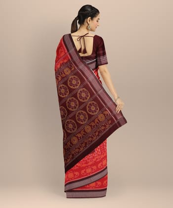 Red Coffee Brown Cotton Handloom Sambalpuri Saree