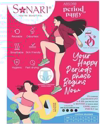 Sonari Pack of 1 Modal Period Panty For Women ( Dark Grey )