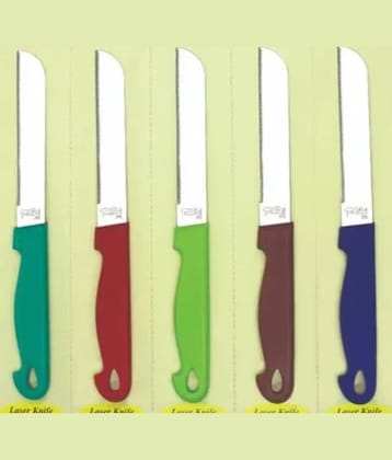 FSN Stainless Steel Knife Set/Kitchen Cutter with Bushy Type and Perfect Grip Handle 8 inch - Pack of 5 (Multicolor)