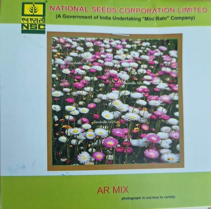 NSC Acroclinium Roseum Mix Flower Seed,3gm