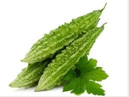 Bitter Guard - 250 gm