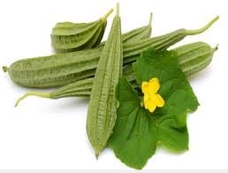 Ridge gourd 2 PIC