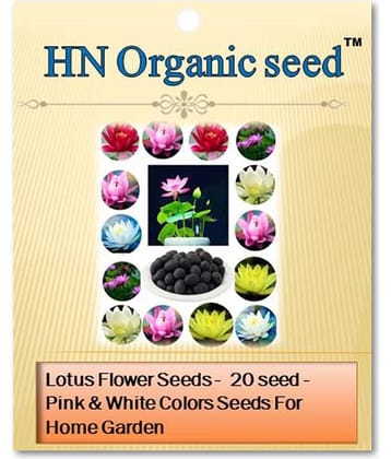 homeagro - Flower Seeds ( Lotus seeds -mixed colours 20 seeds )