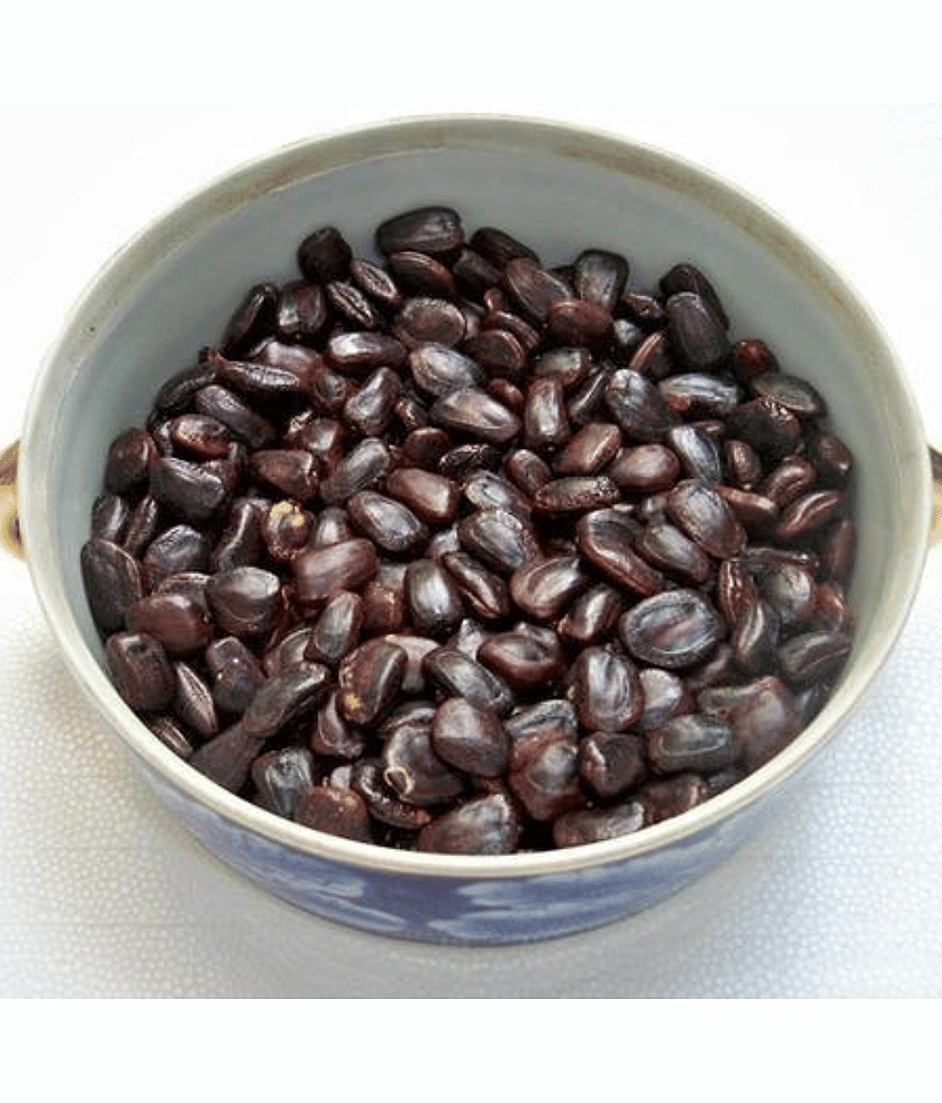 Nutrixia Food Imli Beej  / इमली बीज  /  Tamarind Seeds / chinch bee 100 gm