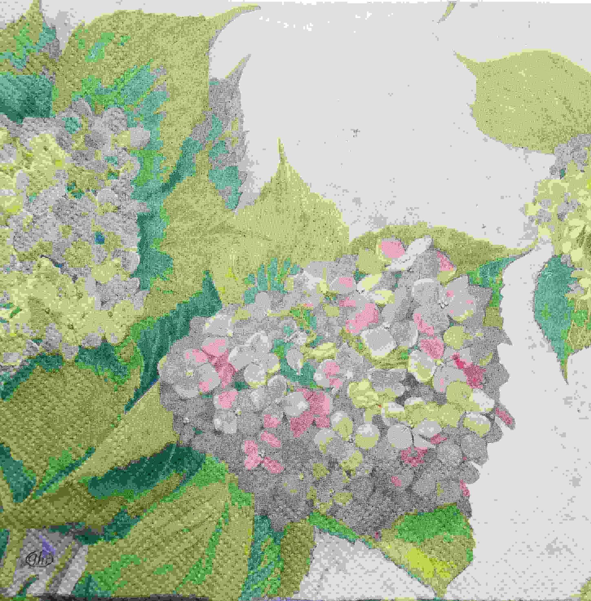 Decoupage Napkin / Tissue papers - GT1675