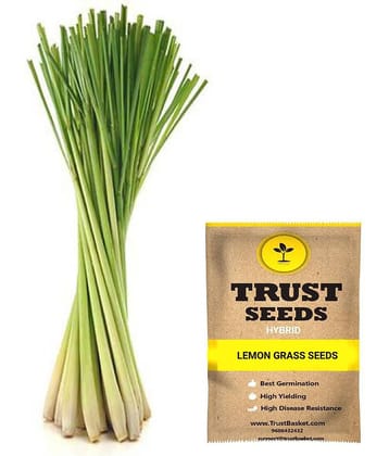 TrustBasket Lemon Grass Seeds Hybrid (15 Seeds)