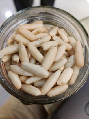 NUTZ PLUZ DELIGHTZ PINE NUTS 500g