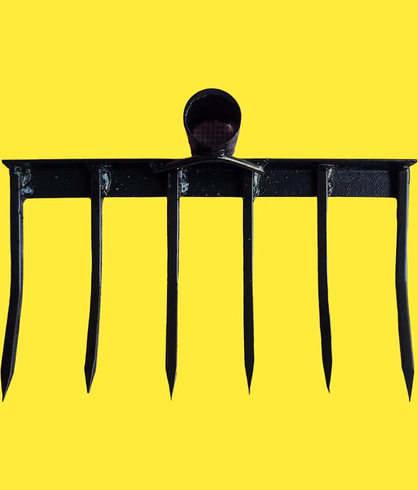 SAS TOOLS Garden Fork ( Set of 1 )