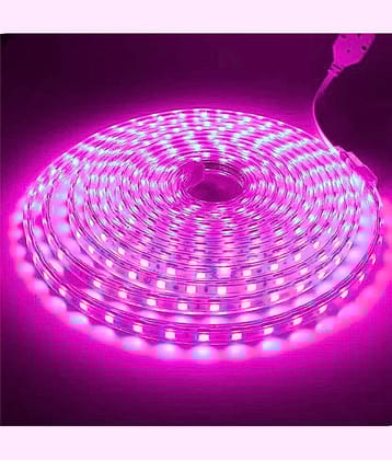ZESTRUM Pink 10 Mtr LED Strip ( Pack of 1 )