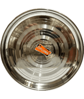 Dynore 1 Pcs Stainless Steel Silver Full Plate
