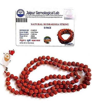 KESHAV Rudraksha Pack of 1