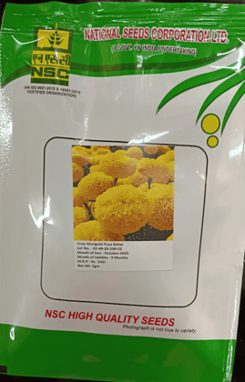 NSC Marigold Pusa Bahar Flower Seed,5gm