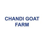 CHANDI GOAT FARM