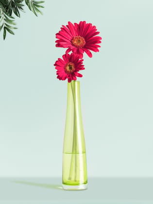 NATURALLYOURS GLASSWARES DL0007-LG 5.5CM LG VASE NATURALLYOURS GLASSWARES DL0007-LG 5.5CM LG VASE