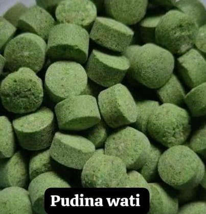 Pudina Wati