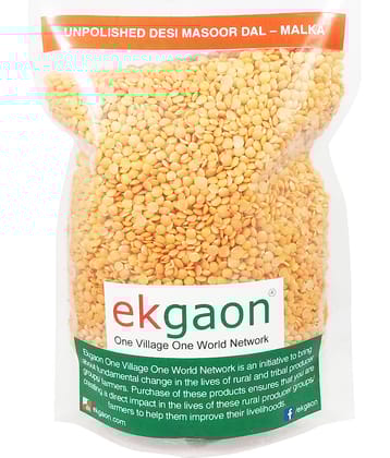 Ekgaon Unpolished Desi Masoor Dal – Malka 450 gm