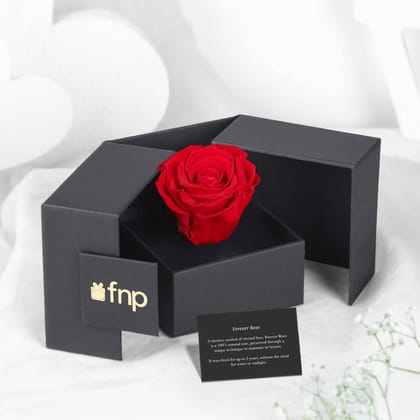 FNP Forever Red Rose - Preserved Rose Flower - Timeless Romantic Gift for Valentines Day & Anniversaries