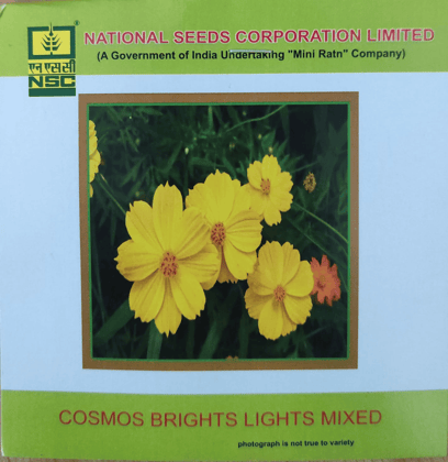 NSC Cosmos Brights Lights Mixed Flower seed