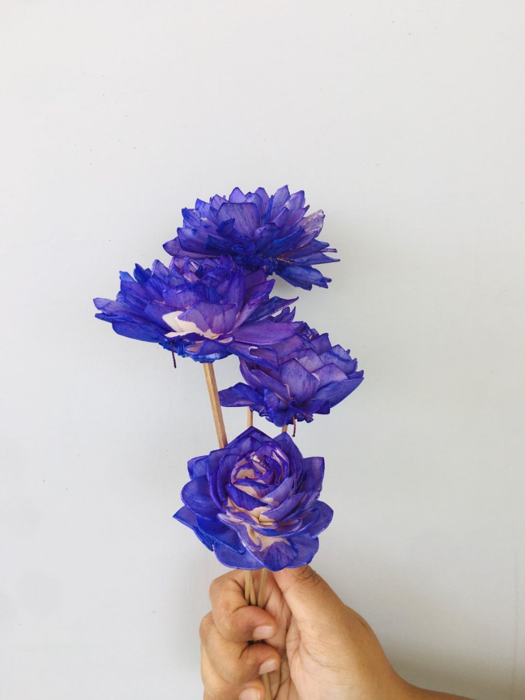 Ombre Mauve Dahlia Sola Flower (5pcs)
