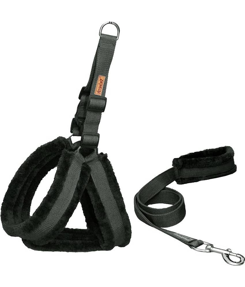Petshop7 - Black Dog Combo (Large)