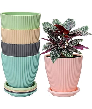 Dark Sun Kitchenware Multicolor Plastic Flower Pot ( Pack of 5 )