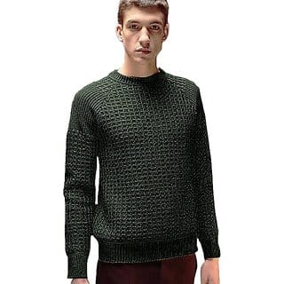 Fashlook Solid Round Neck Wool Blend Casual Green Full Sleeve T-Shirt For Mens