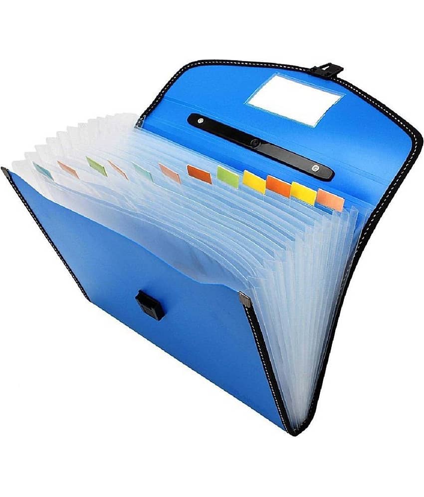 RAVARIYA GRAPHICS Plastic File Folder F/C Expanding Bag with Handle 9999 (13Folder multicolor)